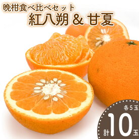 【ふるさと納税】 【先行予約】晩柑食べ比べセット～紅八朔&甘夏～(各5玉) | 柑橘 かんきつ 晩柑 紅八朔 甘夏 フルーツ 果物 期間限定 【2026年3月中旬頃から発送予定】愛媛県 松山市 ココオ Koko'o