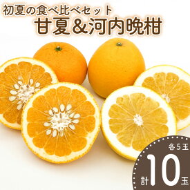 【ふるさと納税】 【先行予約】初夏の食べ比べセット～甘夏&河内晩柑～(各5玉) | 柑橘 かんきつ 甘夏 河内晩柑 フルーツ 果物 期間限定 【2026年4月上旬頃から発送予定】愛媛県 松山市 ココオ Koko'o