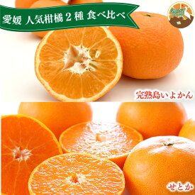 【ふるさと納税】 【先行予約】 せとか・完熟島いよかん 食べ比べセット / せとか 3kg 完熟島いよかん 5kg | 柑橘 みかん 蜜柑 mikan かんきつ 愛媛県 松山市 ココオ Koko'o