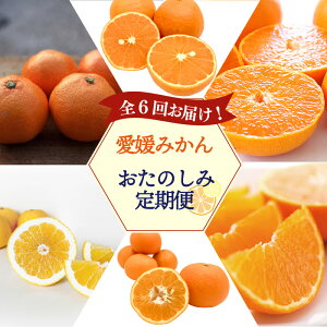 yӂ邳Ɣ[Łz yg܂ǂ zQ݂񂨂̂ݒ yS6z | g}hi B݂ Βn݂ Ƃ 悩 n悩 J}_ ͓ӊ ܂ǂ k