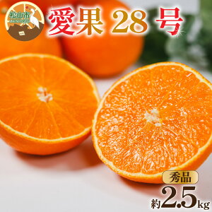 yӂ邳Ɣ[Łz ys\z Gi 28 2.5kg y12{~1{\z |  28 g܂ǂ Ɠi ݂ k ACJ s\ ~J 񂫂 ʕ t[c 