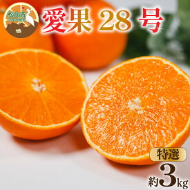 【ふるさと納税】 特選 愛果28号 (紅まどんな と同品種) 約3kg 【2026年12月中旬頃から順次発送】 | あいか 愛果28号 紅まどんな と同品種 みかん 柑橘 アイカ 先行予約 ミカン かんきつ 果物 フルーツ おすすめ 蜜柑 送料無料 愛媛県 松山市
