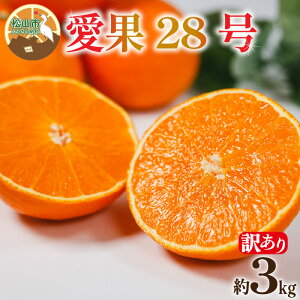 yӂ邳Ɣ[Łz ys\z 󂠂 28 3kg y12{~1{\z | A  28 g܂ǂ Ɠi ݂ k ACJ s\ ~J 񂫂 ʕ t