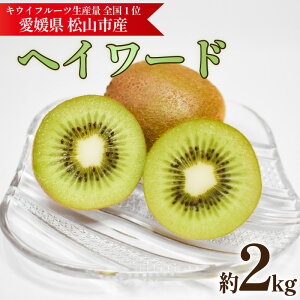 yӂ邳Ɣ[Łz LECt[c wC[h 2kg y11{~11{z | LEC O[LEC wC[h LECt[c t[c ʕ   fU[g Yn 