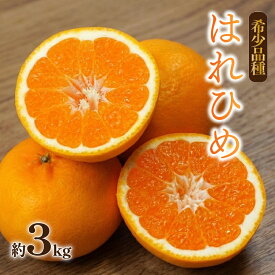 【ふるさと納税】 はれひめ 約3kg 【2026年12月下旬頃から順次発送】 | 晴姫 ハレヒメ 柑橘 はれひめ 蜜柑 ミカン mikan フルーツ 果物 みかん くだもの デザート 産地直送 数量限定 国産 送料無料 愛媛県 松山市