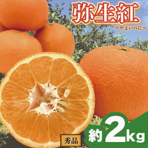 yӂ邳Ɣ[Łz ys\z n悩 y퐶gz (GiEMtgBOX) 2kg | 悩 ɗ\ k ݂  mikan EG IW  񂫂 y2026N2{甭\