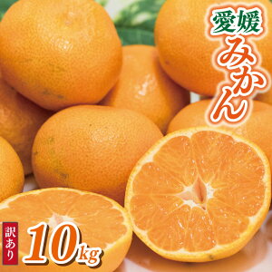 【ふるさと納税】 【選べる 内容量・発送時期】 訳あり みかん 1kg / 5kg / 10kg | えひめみかん 温州みかん 極早生 くだもの フルーツ 蜜柑 ミカン mikan 柑橘 不揃い 傷 ワケアリ 訳アリ 家庭用 愛