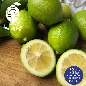 yӂ邳Ɣ[Łz ys\ 2025N10{甭\zʌ ̂ O[  3kg Y  Q  k ʕ  t[c  O 