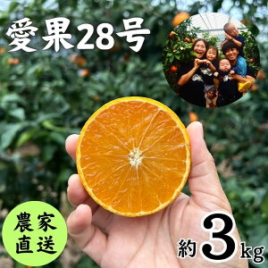 yӂ邳Ɣ[Łz ys\(2025N11{甭)z ʌ 28ig܂ǂȂƓij 3kg s\ Q k ʕ  t[c  O Ԍ lC 