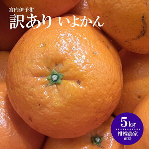 yӂ邳Ɣ[Łz y󂠂z ʌ ɗ\ 5kg ܂ 10kg k ʕ  t[c  O Ԍ lC  Q Rs kX_