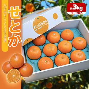 yӂ邳Ɣ[Łz s\ Ƃ 3kg 3甭Jn| ݂  k ʕ  t[c   lC  O Mtg    n Q R