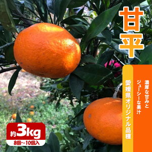 yӂ邳Ɣ[ŁzÕ@3kg2{`Jn