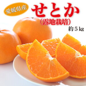 yӂ邳Ɣ[Łz y2026N2甭z QYƂ GiiInj5kg G 2L`M TCYyIiz t[c ʕ ݂ IW k Ƃ Q Rs