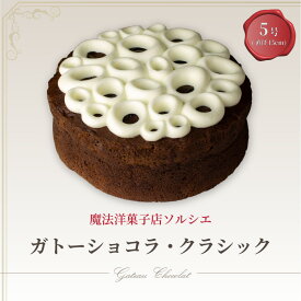 【ふるさと納税】 魔法洋菓子店ソルシエのガトーショコラ クラシック 5号 デザート ケーキ お菓子 洋菓子 冷凍 着日指定 お誕生日 誕生日 ギフト お祝い 愛媛県 松山市 イヨタ ソルシエ