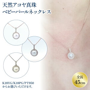 yӂ邳Ɣ[Łz xr[p[lbNX K18 CG[S[h / K18 sNS[h / PT(v`i)950 JP122