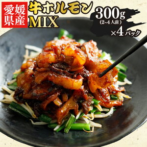 yӂ邳Ɣ[Łz QY  z MIX 300g × 4 pbN ~bNX sh   Q Rs