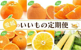 【ふるさと納税】 【定期便12回】 愛媛のいいもの定期便 フルーツ かんきつ 野菜 ジュレ せとか あいか 愛果28号 きよみ河内晩柑 不知火 いよかん 温州みかん 極早生 早生 ハウスみかん なす トウモロコシ 国産 産地直送 季節限定 お取り寄せ 愛媛県 松山市 送料無料