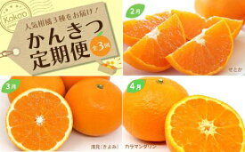 【ふるさと納税】 【定期便3回】 先行予約 愛媛のいいもの定期便 家庭用 優品 | せとか きよみ カラマンダリン 柑橘 みかん ミカン 果物 フルーツ 高級柑橘 希少 数量限定 産地直送 国産 家庭用 贈答用 ギフト 人気 おすすめ グルメ お取り寄せ 愛媛県 松山市 送料無料