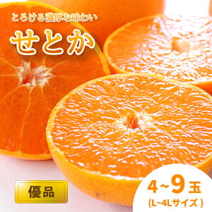 yӂ邳Ɣ[Łzy2{甭z Ƃ Di L`4L 4`9 k ݂ ~J mikan ʕ t[c Â W[V[ g  k 󏭕i ʌ p Mtg ƒp Y 
