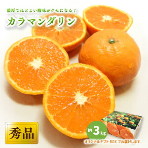 yӂ邳Ɣ[Łz y2026N4{甭\zJ}_ Gi 3kg (M-L) MtgBOX | ݂ J}_ Gi IW k J}_ ݂  J}_ 