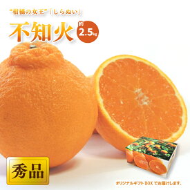 【ふるさと納税】 【先行予約】【2026年2月上旬から発送予定】 不知火(しらぬい) ＜秀品＞ 約2.5kg (L-3L / 8-12玉 ) ギフトBOX入り | みかん 不知火 秀品 しらぬい 柑橘 不知火 しらぬい みかん 贈答 不知火 みかん 贈答箱 愛媛県 松山市 ココオ Koko'o