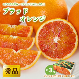 【ふるさと納税】 【先行予約】【2026年3月下旬から発送】 ブラッドオレンジ＜秀品＞ 約3kg (S-M / 21-25玉 ) ギフトBOX入り | みかん ブラッドオレンジ 秀品 ブラッドオレンジ 柑橘 タロッコ モロ みかん 贈答 ブラッドオレンジ みかん 贈答箱 愛媛県 松山市 ココオ Koko'o