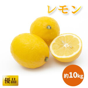 yӂ邳Ɣ[Łz y2026N3{甭z ˓C̓ DiEƒp 5kg ܂ 10kg b EG  ς _ς _ ʌ Ԍ  QY _ L@