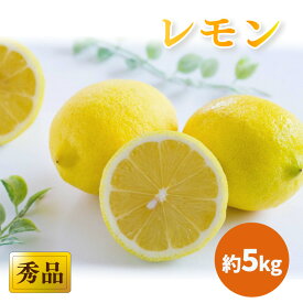 【ふるさと納税】 【2026年3月中旬頃から発送】 瀬戸内海の島レモン 秀品 約5kg ｜ 檸檬 れもん すっぱい 酸っぱい 酸味 数量限定 期間限定 レモン 愛媛県産 減農薬 有機肥料 甘み 香り 柑橘 松山市 レモン 中島 レモン 有機栽培 レモン 新鮮 ココオ Koko'o