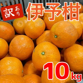 【ふるさと納税】 【先行予約】 訳あり みかん 伊予柑 約10kg 【1月中旬~発送予定】 | 訳あり 伊予柑 みかん ミカン 蜜柑 柑橘 10キロ 果物 フルーツ おすすめ 送料無料 ご当地 愛媛県 松山市
