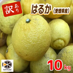 yӂ邳Ɣ[Łz y1{甭\z 󂠂 ͂邩 5L /10L | ͂邩 ݂ 󂠂 k ݂ 󂠂 k ݂ 󂠂 k 5kg Q Rs