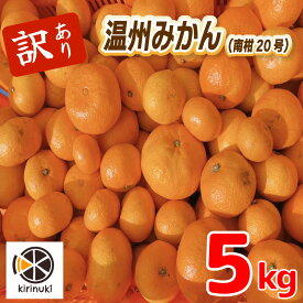 【ふるさと納税】【2026年12月中旬頃から順次発送】訳あり 温州みかん 5kg | みかん ミカン 蜜柑 柑橘 うんしゅうみかん 愛媛県産 甘い 愛媛みかん フレッシュ おいしい フルーツ 規格外 わけあり 産地直送 果物 数量限定 国産 くだもの 愛媛県 松山市
