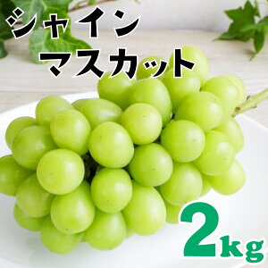 yӂ邳Ɣ[Łzys\zVC}XJbg 2kg