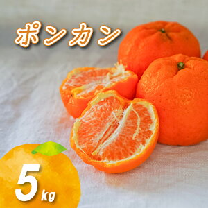 yӂ邳Ɣ[Łz y2026N2{珇z_͔||J 2kg / 5kg | QY QY Y Q݂ Q Q~J ݂ ~J mikan  k t[c ʕ  