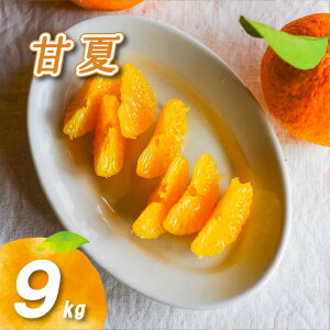 yӂ邳Ɣ[Łz y2026N2{蔭z_sgp É 2kg / 4kg / 9kg ( ʑI Y Q݂ Q Q~J ݂ ~J mikan  k t[c ʕ  