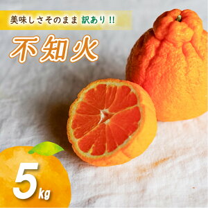 �y�ӂ邳�Ɣ[�Łz �y2026�N4����{��蔭���z �󂠂� �s�m�� 2kg / 5kg /10kg ( ���ʑI���� ���Y ���Q�݂��� ���Q���� ���Q�~�J�� �݂��� �~�J�� mikan ���� ���k �t���[�c �ʕ� �������� ������ 