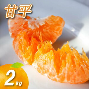 yӂ邳Ɣ[Łz y2026N1蔭z Õ 2kg | Y Q݂ Q Q~J ݂ ~J mikan  k t[c ʕ   Yn ʌ lC 