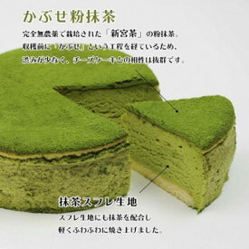 【ふるさと納税】 魔法洋菓子店ソルシエ　抹茶スフレチーズケーキ 5号【直径14.5cm：4〜6人分】 デザート ケーキ お菓子 洋菓子 冷凍 着日指定 お誕生日 誕生日 ギフト お祝い 愛媛県 松山市 イヨタ ソルシエ