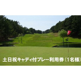 【ふるさと納税】 エリエールゴルフクラブ松山 土日祝キャディ付プレー利用券1名