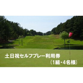 【ふるさと納税】 エリエールゴルフクラブ松山 土日祝セルフプレー利用券4名1組