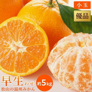 yӂ邳Ɣ[Łz ys\zy2025N11{甭\z B݂uvDiEʁ5kg