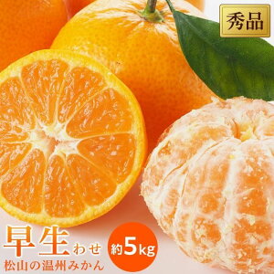 yӂ邳Ɣ[Łz ys\zy2025N11{甭\z B ݂  Gi 5kg