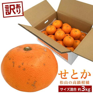 【ふるさと納税】 【2月中旬から発送】 訳あり 愛媛 みかん せとか 約3kg | 先行予約 柑橘 果物 くだもの フルーツ お楽しみ お取り寄せ グルメ 期間限定 数量限定 人気 おすすめ ギフト 愛媛