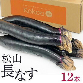 【ふるさと納税】 【2026年9月中旬頃から順次発送】松山長なす 12本入り | 夏野菜 茄子 わけあり ナス 長なす ワケアリ 長ナス 野菜 国産 国内産 新鮮 常温発送 愛媛県 松山市