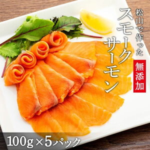 yӂ邳Ɣ[Łz Y X[NT[ 500g ( 100g × 5pbN ) |    T[ XCX T_ Jpb`  O lC    fBi[ [H p[eB 