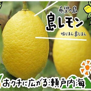 yӂ邳Ɣ[Łzy10{甭\z 3kg Q Y | EG k ʕ t[c  lC  Q Rs