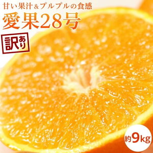 yӂ邳Ɣ[Łz y11{甭\z󂠂  9kg | 28 ܂ǂ k ݂ ʕ  t[c   lC  O Mtg Ԍ ʌ 