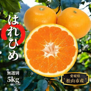 yӂ邳Ɣ[Łz ys\z͂Ђ I 5kg 12`1 | QY QY Y Q݂ Q Q~J ݂ ~J mikan  k t[c ʕ  