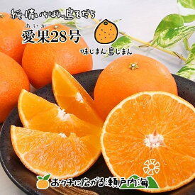 【ふるさと納税】 愛果28号 約1.5kg 6玉 特選品 大玉 | 12月中頃から順次発送予定 あいか まどんな 紅まどんな と同品種 柑橘 みかん 果物 くだもの フルーツ おすすめ 高級 人気 お取り寄せ グルメ ギフト 期間限定 数量限定 ご当地 愛媛県 松山市