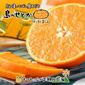 【ふるさと納税】 【先行予約】 せとか 訳あり 約2kg | みかん ミカン mikan 柑橘 果物 フルーツ 高級柑橘 希少品種 家庭用 自宅用 国産 産地直送 人気 おすすめ グルメ お取り寄せ 期間限定 数量限定 愛媛県 松山市 中島産 送料無料 【2026年3月上旬から発送】