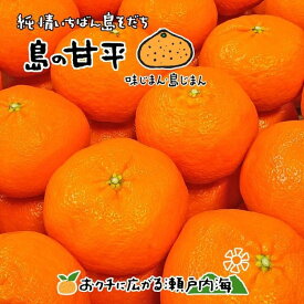 【ふるさと納税】 【2026年2月中旬から発送予定】 甘平 ( かんぺい ) 約3kg 家庭用 愛媛 中島産 | 愛媛 みかん 先行予約 蜜柑 柑橘 果物 くだもの フルーツ お取り寄せ グルメ 期間限定 数量限定 人気 おすすめ 愛媛県 松山市